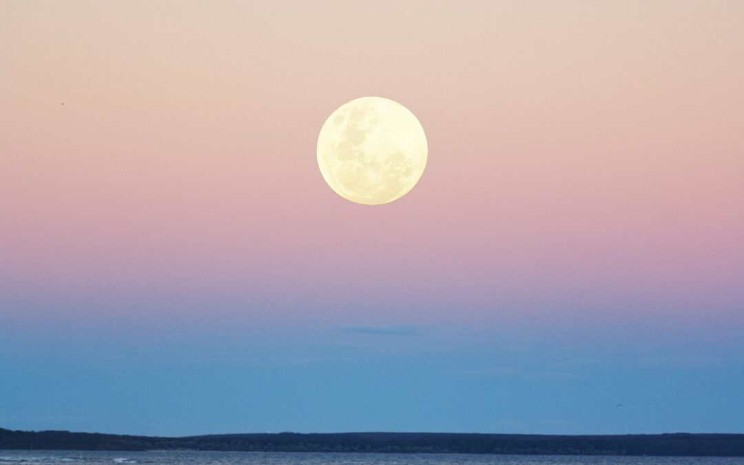 Månen i horoskopet 🌙