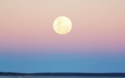 Månen i horoskopet 🌙